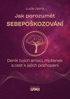 JAK POROZUMĚT SEBEPOŠKOZOVÁNÍ - DENÍK TVÝCH EMOCÍ, MYŠLENEK A CEST K JEJICH POCHOPENÍ