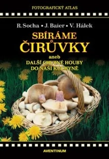 SBÍRÁME ČIRŮVKY A DALŠÍ CHUTNÉ HOUBY DO NAŠÍ KUCHYNĚ