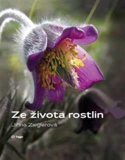 ZE ŽIVOTA ROSTLIN