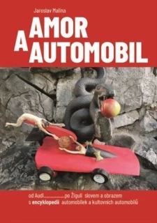 AMOR A AUTOMOBIL