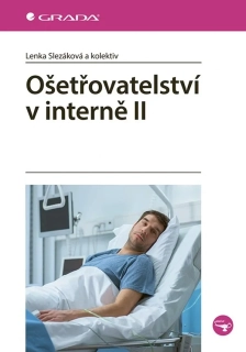 OŠETŘOVATELSTVÍ V INTERNĚ II