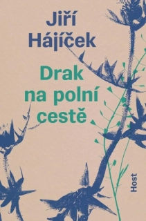 DRAK NA POLNÍ CESTĚ BROŽ.