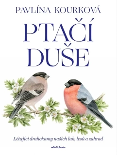 PTAČÍ DUŠE