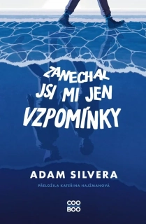 ZANECHAL JSI MI JEN VZPOMÍNKY