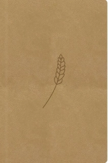 BIBLE21 – KAPESNÍ