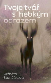 TVOJE TVÁŘ S HEBKÝM ODRAZEM