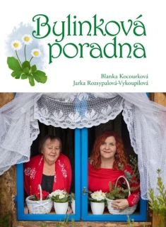 BYLINKOVÁ PORADNA