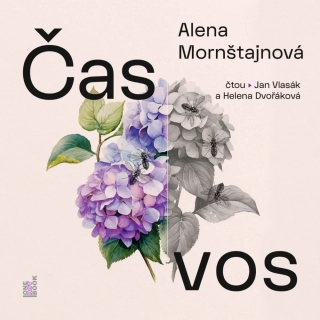 CD ČAS VOS - CDMP3