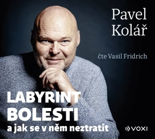 CD LABYRINT BOLESTI (AUDIOKNIHA)