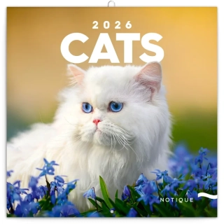 KALENDÁŘ 2026 POZN: KOČKY