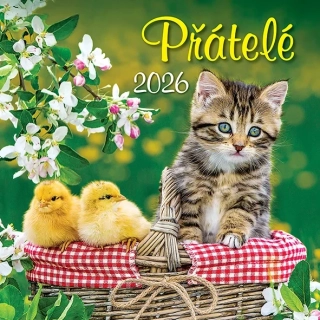 KALENDÁŘ 2026 PŘÁTELÉ, NÁSTĚNNÝ