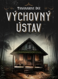 VÝCHOVNÝ ÚSTAV