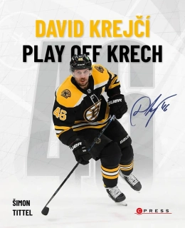 DAVID KREJČÍ    PLAY OFF KRECH