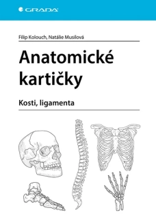 ANATOMICKÉ KARTIČKY