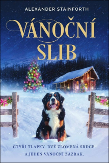 VÁNOČNÍ SLIB