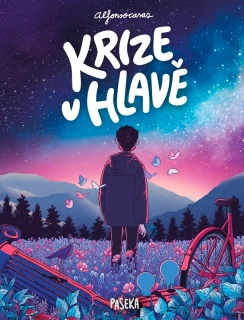 KRIZE V HLAVĚ