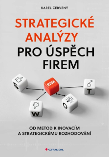 STRATEGICKÉ ANALÝZY PRO ÚSPĚCH FIREM