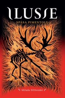 SPÁSA PIMENTOLY 6 ILUSIE