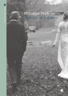 POLÍBILI SE V DUBNU