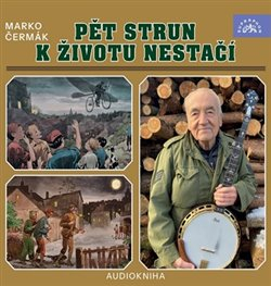 CD PĚT STRUN K ŽIVOTU NESTAČÍ - CD