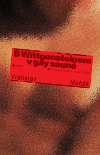 S WITTGENSTEINEM V GAY SAUNĚ