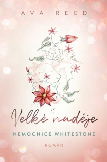 VELKÉ NADĚJE 1  NEMOCNICE WHITESTONE