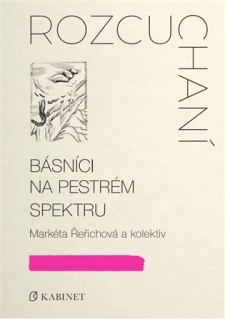 ROZCUCHANÍ