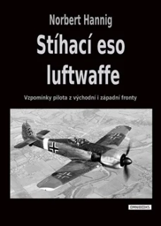STÍHACÍ ESO LUFTWAFFE