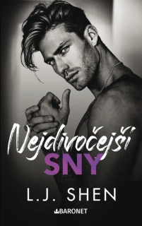 NEJDIVOČEJŠÍ SNY