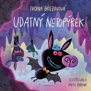 UDATNÝ NETOPÝREK