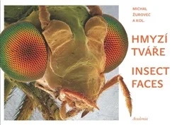 HMYZÍ TVÁŘE / INSECT FACES