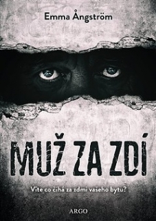 MUŽ ZA ZDÍ