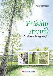 PŘÍBĚHY STROMŮ    CO NÁM O SOBĚ VYPRÁVĚJÍ...