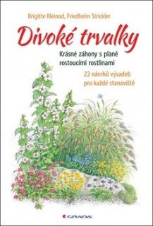 DIVOKÉ TRVALKY   KRÁSNÉ ZÁHONY S PLANĚ ROSTOUCÍMI ROSTLINAMI