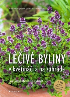 LÉČIVÉ BYLINY V KVĚTINÁČI A NA