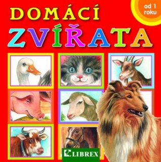 DOMÁCÍ ZVÍŘATA
