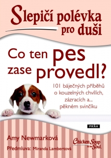 SLEPIČÍ POLÉVKA PRO DUŠI - CO TEN PES ZA