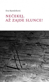 NEČEKEJ, AŽ ZAJDE SLUNCE!