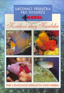 KORÁLOVÉ ŮTESY V KARIBIKU