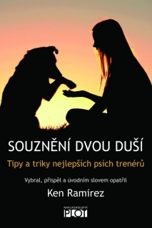 SOUZNĚNÍ DVOU DUŠÍ - TIPY A TRIKY NEJLEP