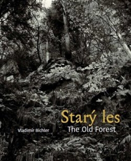 STARÝ LES / THE OLD FOREST