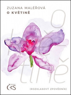 O KVĚTINĚ