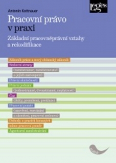 PRACOVNÍ PRÁVO V PRAXI ZÁKLADNÍ PRACOVNĚPRÁVNÍ VZTAHY A...