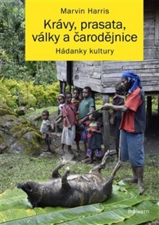 KRÁVY, PRASATA, VÁLKY A ČARODĚJNICE