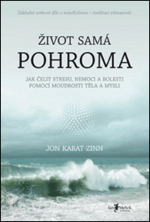 ŽIVOT SAMÁ POHROMA-JAK ČELIT STRESU,NEMOCI A BOLESTI...