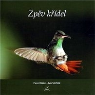 ZPĚV KŘÍDEL