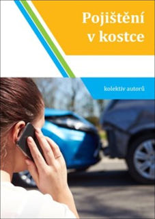 POJIŠTĚNÍ V KOSTCE