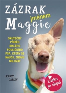 ZÁZRAK JMÉNEM MAGGIE