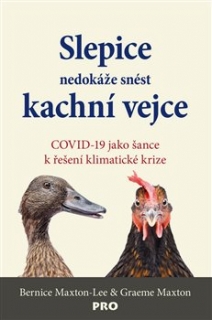 SLEPICE NEDOKÁŽE SNÉST KACHNÍ VEJCE