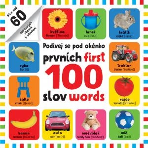 PRVNÍCH 100 SLOV / FIRST 100 WORDS - POD